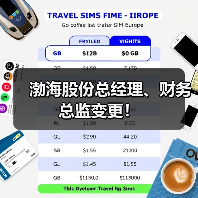 渤海股份总经理、财务总监变更!(图4) 渤海股份总经理、财务总监变更!(图4)