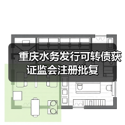 重庆水务发行可转债获证监会注册批复（图1）