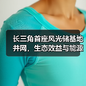 长三角首座风光储基地并网,生态效益与能源转型双赢?(图1) 长三角首座风光储基地并网,生态效益与能源转型双赢?(图1)