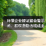 环保企业被证监会警示函,股权激励违规成主因?(图2) 环保企业被证监会警示函,股权激励违规成主因?(图2)