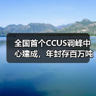 全国首个CCUS调峰中心建成,年封存百万吨CO₂如何助力双碳目标(图2) 全国首个CCUS调峰中心建成,年封存百万吨CO₂如何助力双碳目标(图2)