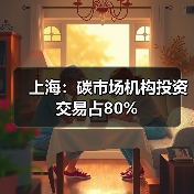 上海:碳市场机构投资交易占80%(图1) 上海:碳市场机构投资交易占80%(图1)