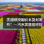 因招标控制价未及时发布!一污水项目招标投标活动暂停!(图3) 因招标控制价未及时发布!一污水项目招标投标活动暂停!(图3)