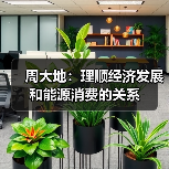 周大地:理顺经济发展和能源消费的关系(图2) 周大地:理顺经济发展和能源消费的关系(图2)