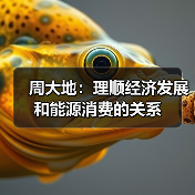 周大地:理顺经济发展和能源消费的关系(图1) 周大地:理顺经济发展和能源消费的关系(图1)