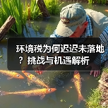 环境税为何迟迟未落地?挑战与机遇解析(图3) 环境税为何迟迟未落地?挑战与机遇解析(图3)