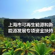 上海市可再生能源和新能源发展专项资金扶持办法发布(图3) 上海市可再生能源和新能源发展专项资金扶持办法发布(图3)