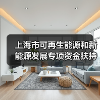 上海市可再生能源和新能源发展专项资金扶持办法发布(图4) 上海市可再生能源和新能源发展专项资金扶持办法发布(图4)