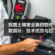 我国土壤重金属植物修复现状:技术优势与应用挑战解析(图3) 我国土壤重金属植物修复现状:技术优势与应用挑战解析(图3)