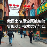 我国土壤重金属植物修复现状:技术优势与应用挑战解析(图4) 我国土壤重金属植物修复现状:技术优势与应用挑战解析(图4)