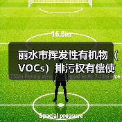 丽水市挥发性有机物(VOCs)排污权有偿使用和交易试点工作方案(图1) 丽水市挥发性有机物(VOCs)排污权有偿使用和交易试点工作方案(图1)