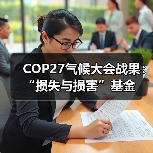 COP27气候大会战果:“损失与损害”基金(图1) COP27气候大会战果:“损失与损害”基金(图1)