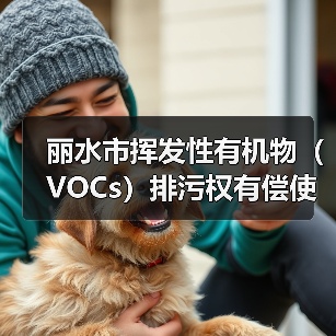 丽水市挥发性有机物(VOCs)排污权有偿使用和交易试点工作方案(图4) 丽水市挥发性有机物(VOCs)排污权有偿使用和交易试点工作方案(图4)