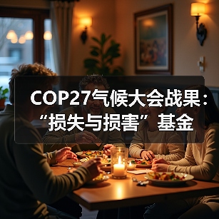 COP27气候大会战果:“损失与损害”基金(图2) COP27气候大会战果:“损失与损害”基金(图2)