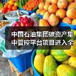 中国石油集团碳资产集中管控平台项目进入全面实施阶段(图1) 中国石油集团碳资产集中管控平台项目进入全面实施阶段(图1)