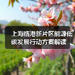 上海临港新片区能源低碳发展行动方案解读(图2) 上海临港新片区能源低碳发展行动方案解读(图2)