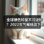 全球绿色转型不可逆转?2022年气候挑战下的现实与前景(图1) 全球绿色转型不可逆转?2022年气候挑战下的现实与前景(图1)