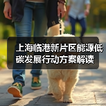 上海临港新片区能源低碳发展行动方案解读(图4) 上海临港新片区能源低碳发展行动方案解读(图4)