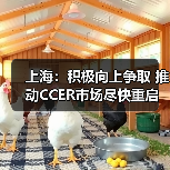 上海:积极向上争取 推动CCER市场尽快重启(图2) 上海:积极向上争取 推动CCER市场尽快重启(图2)