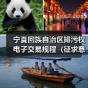 宁夏回族自治区排污权电子交易规程(征求意见稿)(图4) 宁夏回族自治区排污权电子交易规程(征求意见稿)(图4)