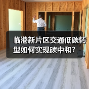 临港新片区交通低碳转型如何实现碳中和?(图3) 临港新片区交通低碳转型如何实现碳中和?(图3)