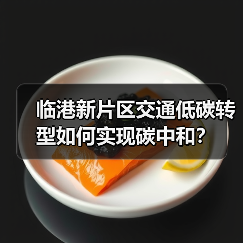 临港新片区交通低碳转型如何实现碳中和?(图4) 临港新片区交通低碳转型如何实现碳中和?(图4)