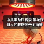 中共黑龙江省委 黑龙江省人民政府关于全面推进美丽龙江建设的实施意见（图2）