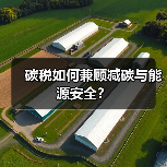 碳税如何兼顾减碳与能源安全?(图4) 碳税如何兼顾减碳与能源安全?(图4)