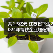 共2.5亿元 江苏省下达2024年钢铁企业超低排放改造奖励资金(图3) 共2.5亿元 江苏省下达2024年钢铁企业超低排放改造奖励资金(图3)