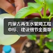 内蒙古再生水管网工程中标,建设细节全面曝光(图2) 内蒙古再生水管网工程中标,建设细节全面曝光(图2)