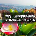 领跑!全球单机容量最大16兆瓦海上风电机组下线(图3) 领跑!全球单机容量最大16兆瓦海上风电机组下线(图3)
