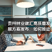 贵州林业碳汇高质量发展方案发布，如何推动生态价值转化？（图1）