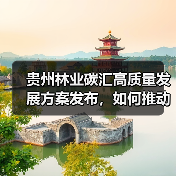 贵州林业碳汇高质量发展方案发布，如何推动生态价值转化？（图2）