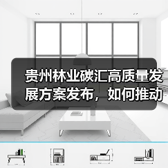 贵州林业碳汇高质量发展方案发布，如何推动生态价值转化？（图3）