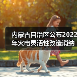内蒙古自治区公布2022年火电灵活性改造消纳新能源评估结果(图4) 内蒙古自治区公布2022年火电灵活性改造消纳新能源评估结果(图4)