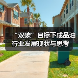 “双碳”目标下成品油行业发展现状与思考(图4) “双碳”目标下成品油行业发展现状与思考(图4)