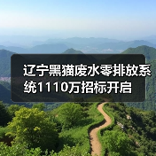 辽宁黑猫废水零排放系统1110万招标开启（图3）