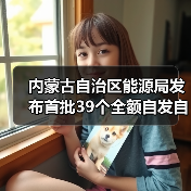 内蒙古自治区能源局发布首批39个全额自发自用新能源项目清单(图3) 内蒙古自治区能源局发布首批39个全额自发自用新能源项目清单(图3)