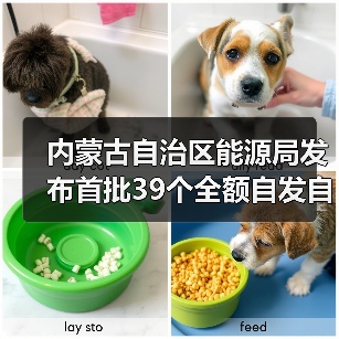 内蒙古自治区能源局发布首批39个全额自发自用新能源项目清单(图4) 内蒙古自治区能源局发布首批39个全额自发自用新能源项目清单(图4)