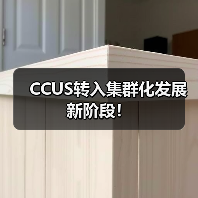 CCUS转入集群化发展新阶段!(图4) CCUS转入集群化发展新阶段!(图4)