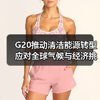 G20推动清洁能源转型 应对全球气候与经济挑战(图3) G20推动清洁能源转型 应对全球气候与经济挑战(图3)